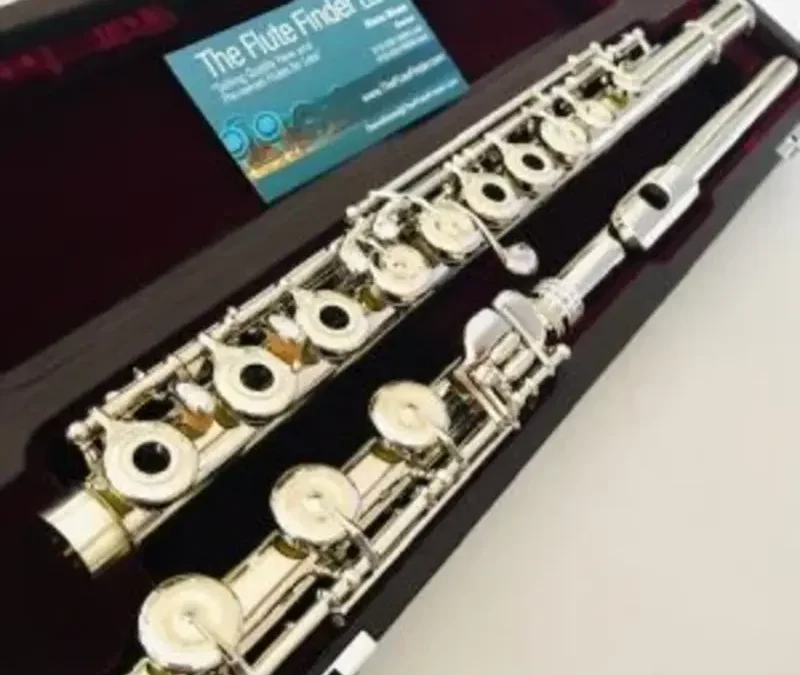 Professional Flute