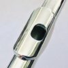New DiZhao 801BEF Solid Silver Flute, Offset G, Split E Mechanism, Warranty!