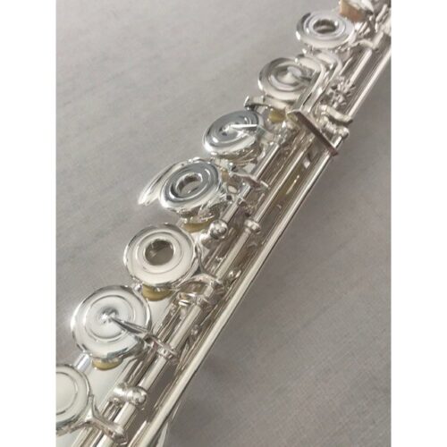 Brand New! Trevor James Virtuoso Voce Flute C# trill Split E mechanism