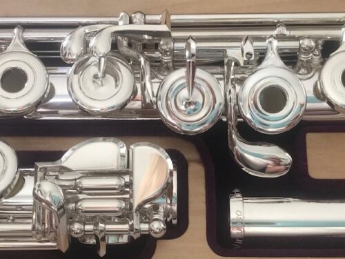 Brand New! Trevor James Virtuoso Voce Flute C# trill Split E mechanism