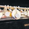 IMG_0550.jpg NEW DiZhao DZB-100 Bass Flute, Warranty!