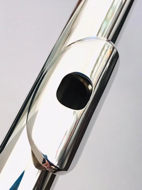 IMG_0551.jpg NEW DiZhao DZB-100 Bass Flute, Warranty!