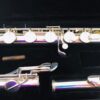 IMG_0552.jpg NEW DiZhao DZB-100 Bass Flute, Warranty!