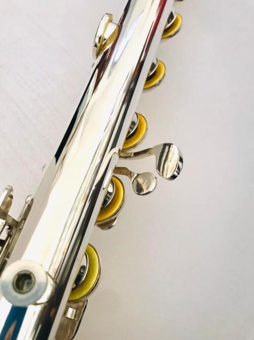 IMG_0555.jpg NEW DiZhao DZB-100 Bass Flute, Warranty!