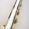 IMG_0556.jpg NEW DiZhao DZB-100 Bass Flute, Warranty!
