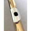NEW Trevor James Copper Alloy Alto Flute
