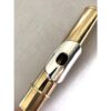 NEW Trevor James Copper Alloy Alto Flute