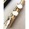 NEW Trevor James Copper Alloy Alto Flute