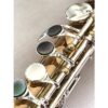NEW Trevor James Copper Alloy Alto Flute