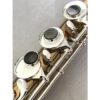 NEW Trevor James Copper Alloy Alto Flute