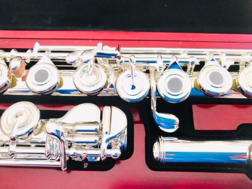 IMG_1067.jpg New DiZhao DZ-801 BEF, #C#D, Solid Silver Headjoint and body with 14k Gold Riser, Offset G, C# Trill, D# Roller, Split E Mechanism, Factory Warranty!