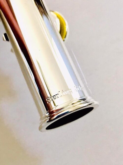 IMG_1068.jpg New DiZhao DZ-801 BEF, #C#D, Solid Silver Headjoint and body with 14k Gold Riser, Offset G, C# Trill, D# Roller, Split E Mechanism, Factory Warranty!