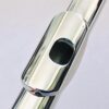 IMG_1069.jpg New DiZhao DZ-801 BEF, #C#D, Solid Silver Headjoint and body with 14k Gold Riser, Offset G, C# Trill, D# Roller, Split E Mechanism, Factory Warranty!