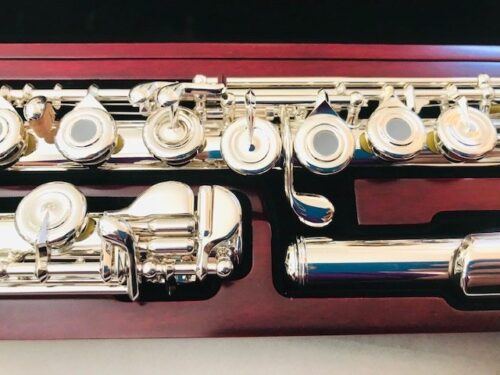 IMG_2042.jpg New DiZhao DZ-801 BOF, Solid Silver, Offset G, C # Trill, D# Roller, Factory Warranty!