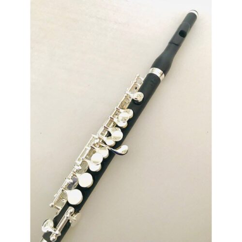New! DiZhao DZP 102 Composite Piccolo Factory Warranty!