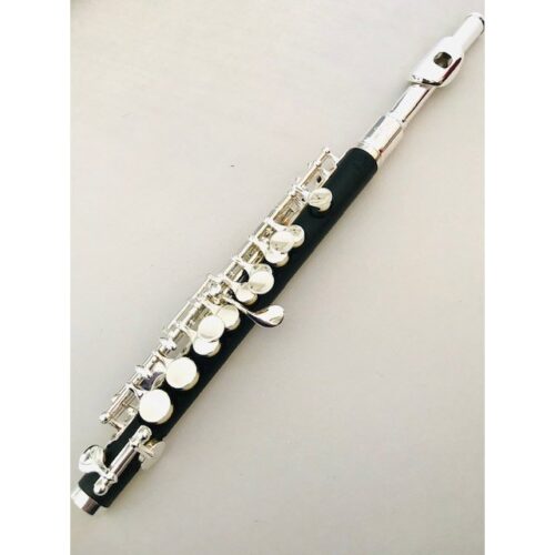 New! DiZhao DZP 101 Piccolo Factory Warranty!