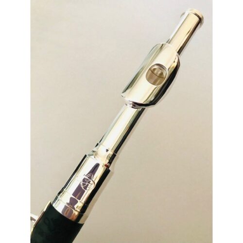 New! DiZhao DZP 101 Piccolo Factory Warranty!