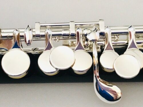 New! DiZhao DZP 101 Piccolo Factory Warranty!