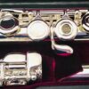 IMG_2801.jpg New! Trevor James 12x Student Flute Offset G Open Hole C Foot Factory Warranty!