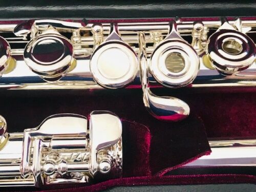 IMG_2801.jpg New! Trevor James 12x Student Flute Offset G Open Hole C Foot Factory Warranty!