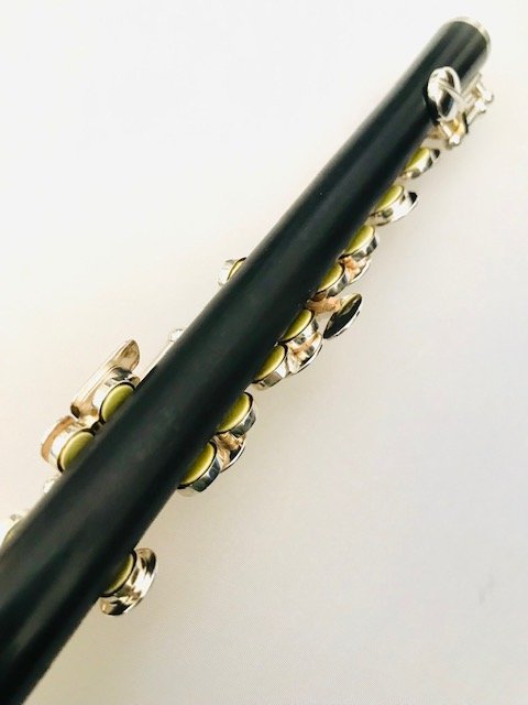 Hammig 650/2 Grenadilla wood Piccolo, Never Owned, Straubinger Pads, Warranty!