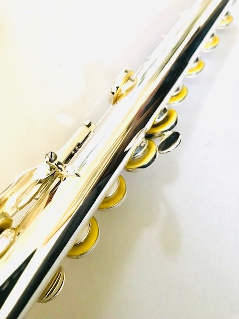 Haynes Giardinelli GFL-10S (=Amadeus AF-700) Solid Silver Flute, Offset G, Warranty!