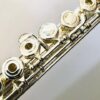 Haynes Giardinelli GFL-10S (=Amadeus AF-700) Solid Silver Flute, Offset G, Warranty!