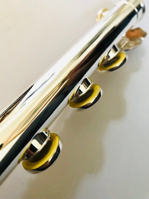 Haynes Giardinelli GFL-10S (=Amadeus AF-700) Solid Silver Flute, Offset G, Warranty!