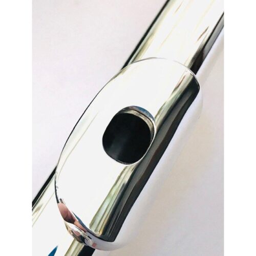 IMG_3924.jpg New Dean Yang Alto Flute, Curved Headjoint, Warranty!