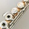 IMG_4231.jpg Powell 9k Aurumite Conservatory Flute, Sterling Mechanism, Solid 9k Gold Lip, Offset G, Overhauled with Straubinger Pads, Warranty!