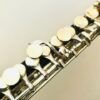 IMG_4890.jpg Burkart & Phelan Professional Piccolo, Wave cut headjoint, Sterling Mechanism, serviced with warranty!