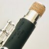 New! Trevor James 5X Composite Piccolo, Wave Lipplate, Factory Warranty!