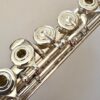 Haynes Q1 Flute, Sterling Silver Hand-cut Haynes Classic Headjoint, 1-year Warranty!