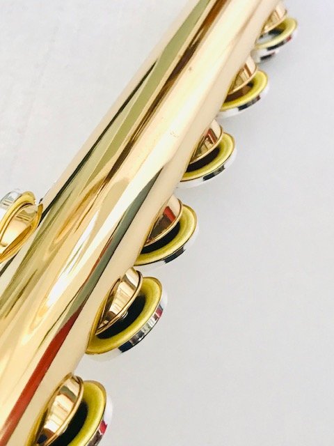 IMG_6568-1.jpg New Trevor James Copper Alloy Alto, Curved Headjoint, Factory Warranty!