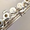 IMG_6787.jpg New! DiZhao DZ D-SP All Silver Handmade Flute, Offset G, Split E Mechanism, C# Trill, D# Roller, Factory Warranty!