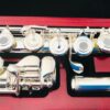 New DiZhao DZ-801 BOF Solid Silver Flute, Offset G
