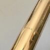 Dana Sheridan 14k Gold Handmade Flute Headjoint, Warranty!