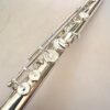 IMG_8041-1.jpg Haynes Amadeus AF-900 Flute, Sterling Silver Headjoint/Body, Offset G, C# Trill, Warranty!