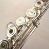 IMG_8042.jpg Haynes Amadeus AF-900 Flute, Sterling Silver Headjoint/Body, Offset G, C# Trill, Warranty!