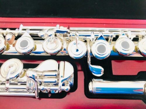 New DiZhao DZ-801 BEF, C#, D#, Solid Silver, Offset G, C#, Trill D# Roller, Split E Mechanism, Factory Warranty!