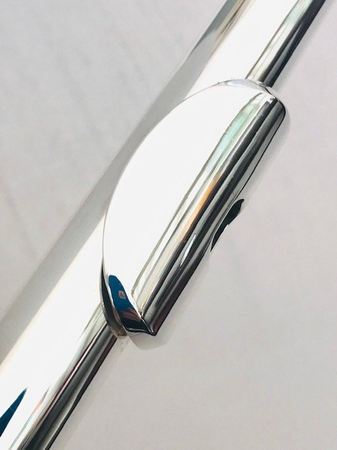 Trevor James 12XB Flute, Offset G, B Foot, TFF Warranty!