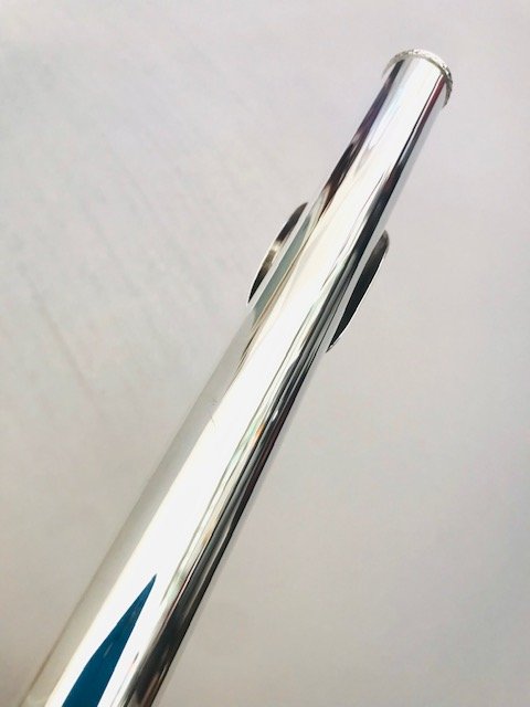 Trevor James 12XB Flute, Offset G, B Foot, TFF Warranty!