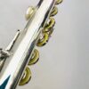 Trevor James 12XB Flute, Offset G, B Foot, TFF Warranty!