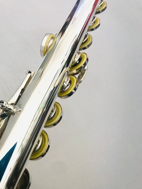 Trevor James 12XB Flute, Offset G, B Foot, TFF Warranty!