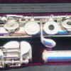 Trevor James 12XB Flute, Offset G, B Foot, TFF Warranty!