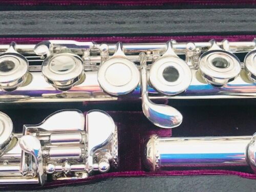 Trevor James 12XB Flute, Offset G, B Foot, TFF Warranty!