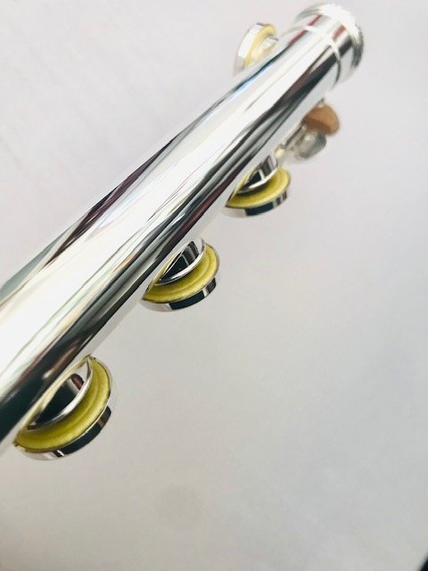 Trevor James 12XB Flute, Offset G, B Foot, TFF Warranty!