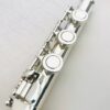 Trevor James 12XB Flute, Offset G, B Foot, TFF Warranty!