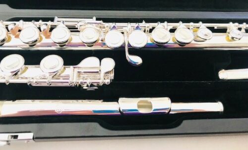 IMG_8434.jpg New DiZhao DZ-301 CEF, Offset G, Closed Hole, C foot, Curved and Straight Headjoints, Split E, Silver Lip/Riser, Factory Warranty!