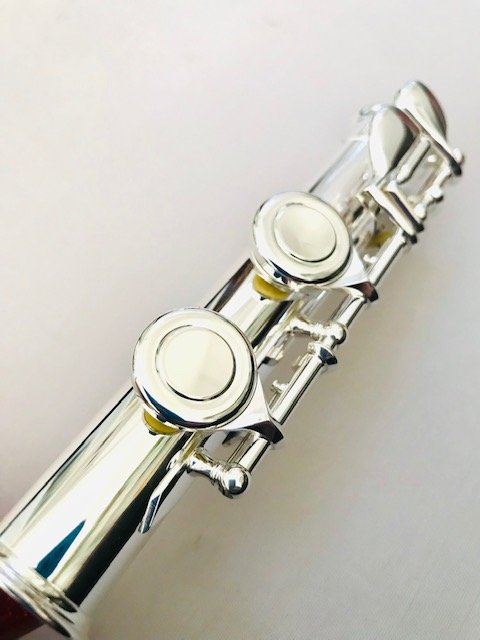 IMG_8435.jpg New DiZhao DZ-301 CEF, Offset G, Closed Hole, C foot, Curved and Straight Headjoints, Split E, Silver Lip/Riser, Factory Warranty!